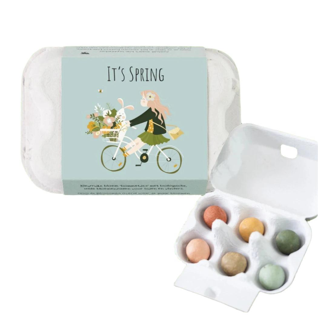 Buzzy Seeds Blossombs Egg Carton - Hello Spring