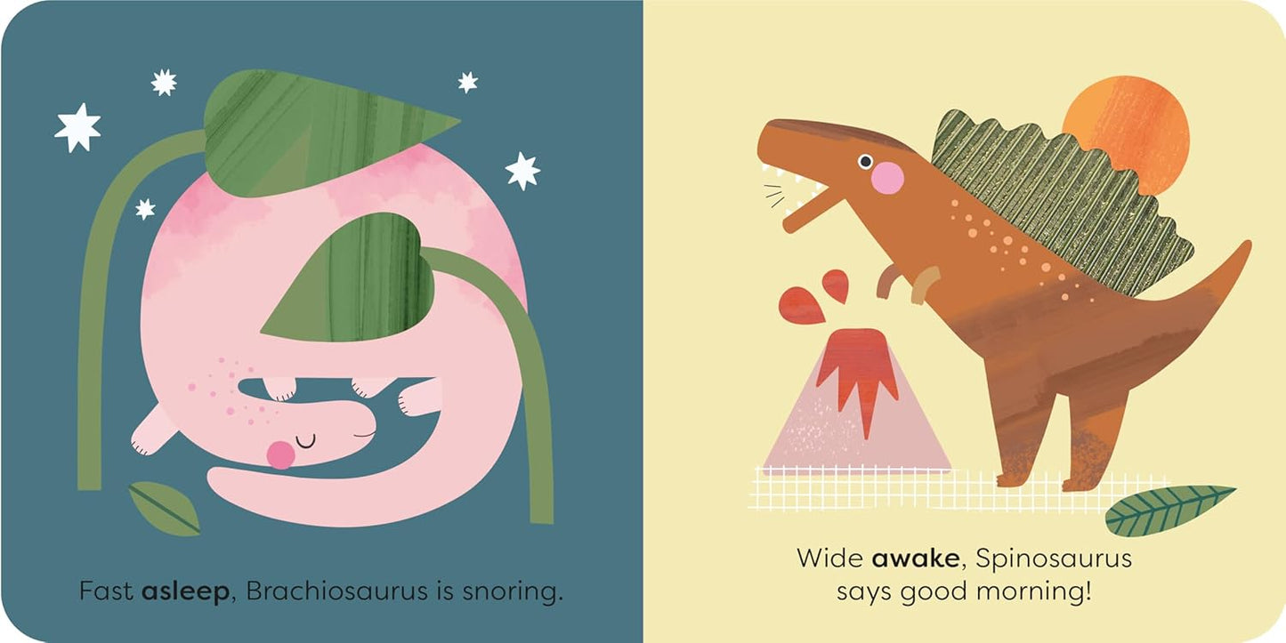 MiniTouch Books: Dinosaurs: Touch-and-feel first opposites