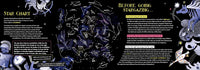 Barefoot Books Constellations: Stories in the Stars
