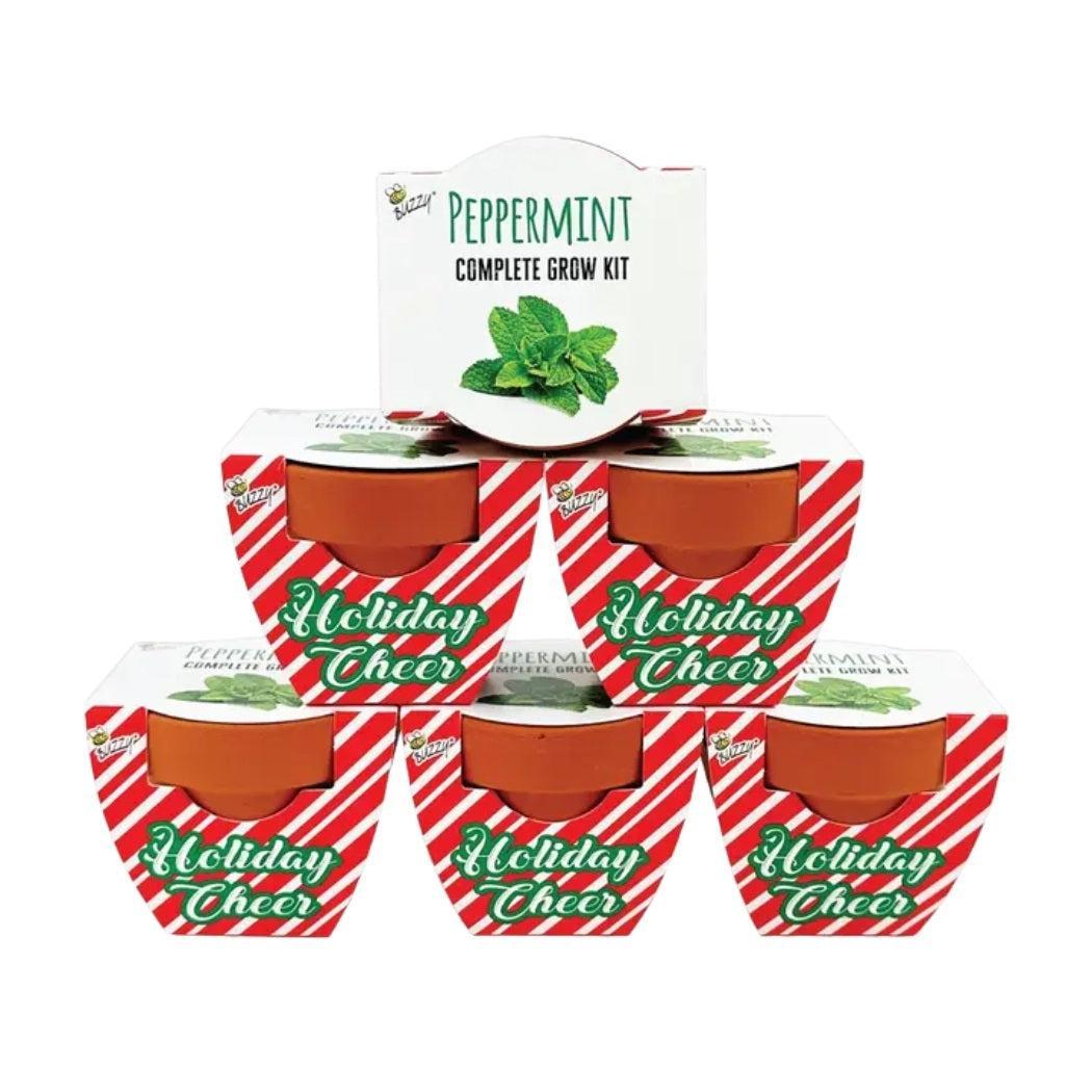 Buzzy Seeds Holiday Mini Terracotta Peppermint Grow Pot