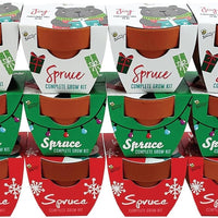 Buzzy Seeds Holiday Mini Terracotta Spruce Tree Grow Pot.0