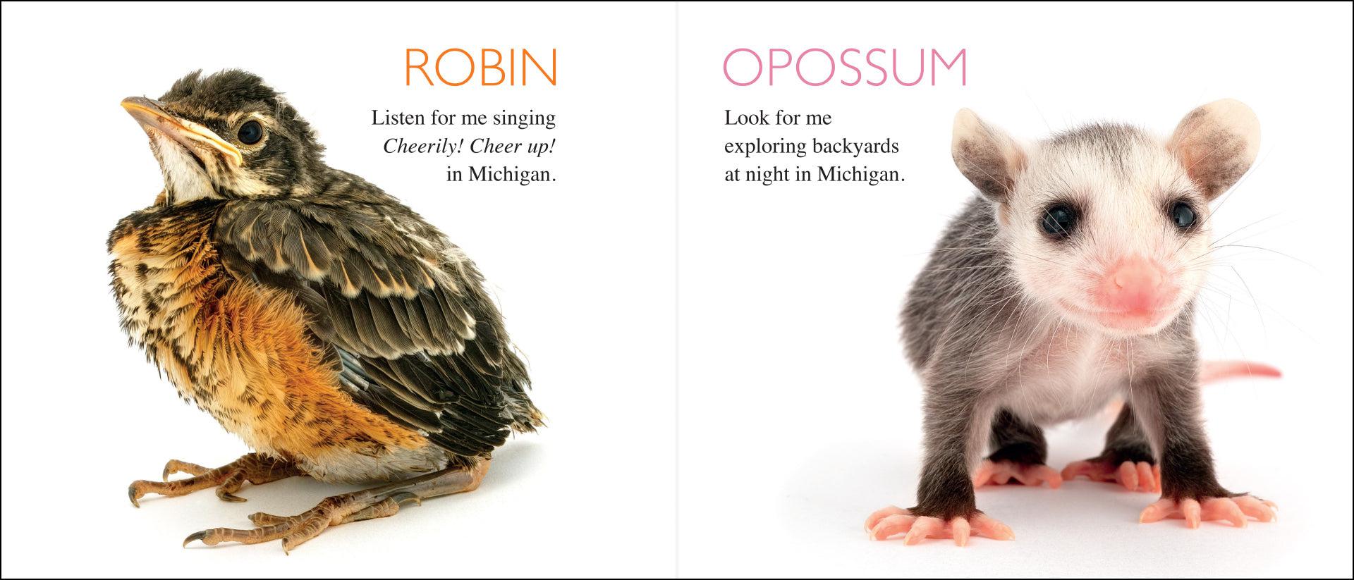Curious Critters: Michigan