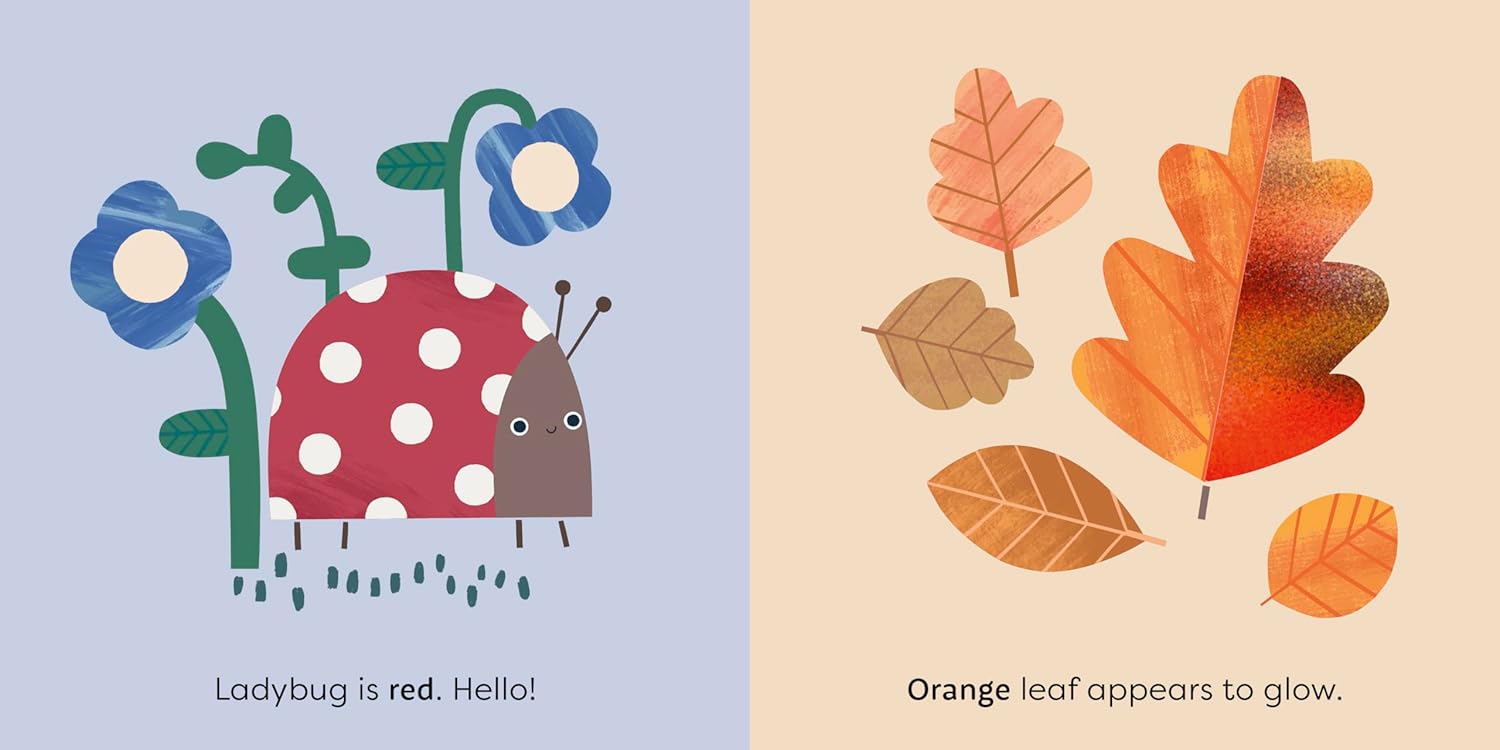 MiniTouch Books: Nature: Touch-and-feel first colors