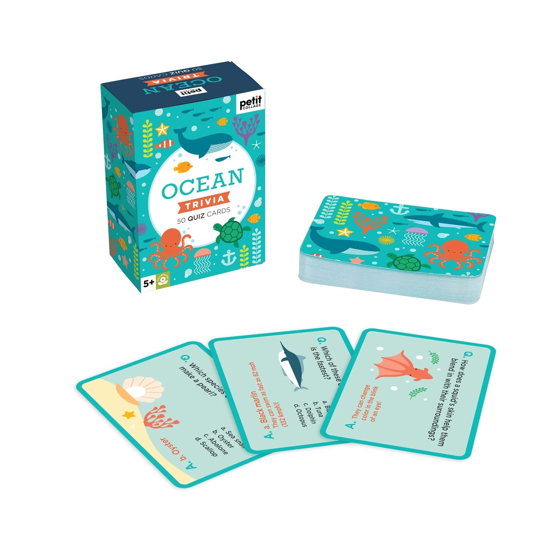 Ocean Trivia Cards