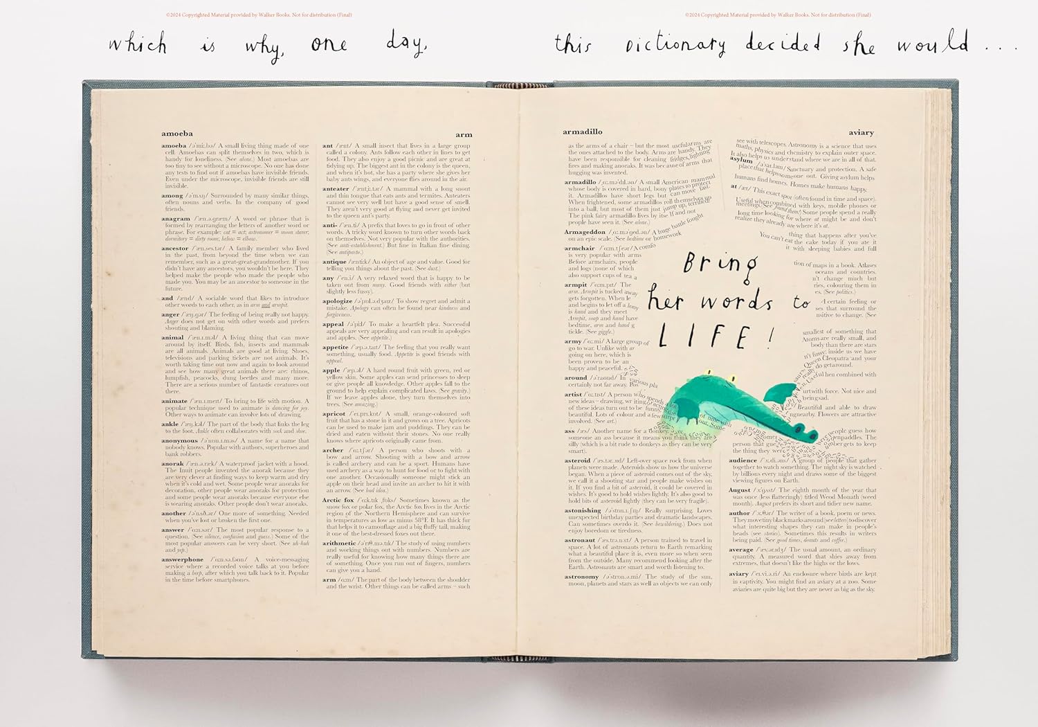 The Dictionary Story
