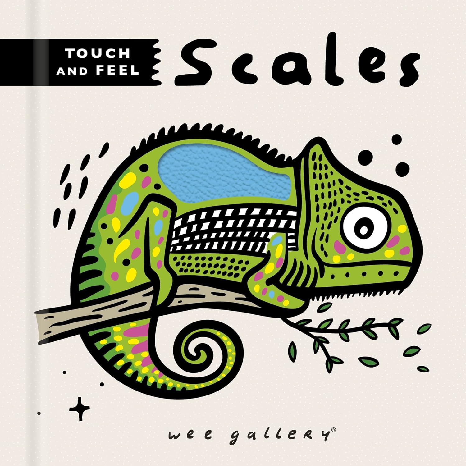 Touch and Feel: Scales