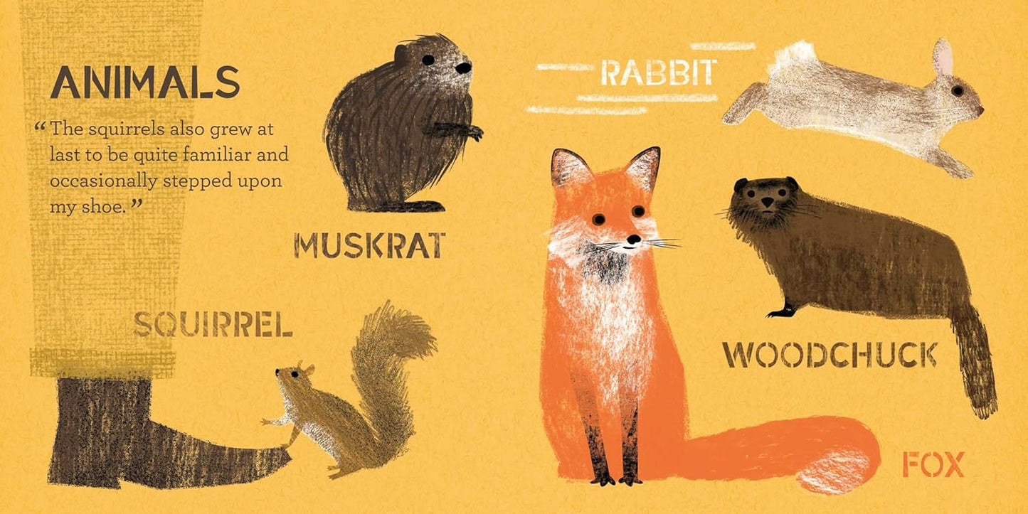 Walden: A BabyLit Nature Primer