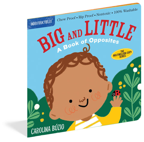 Big and Little Indestructible Book