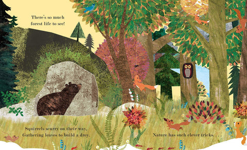 Tree: A Peek-Through Board Book