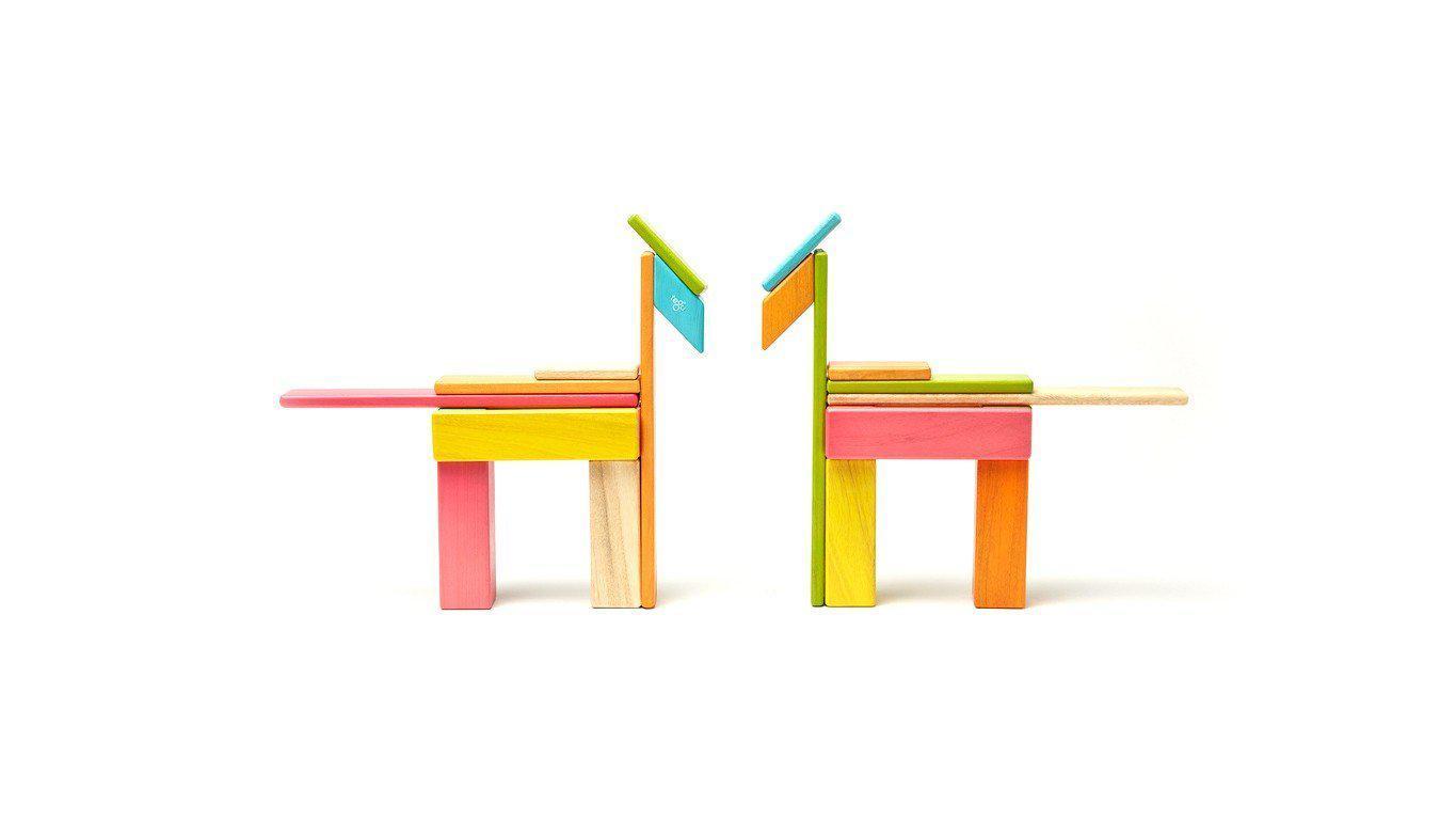 Tegu 24-Piece Magnetic Wooden Block Set