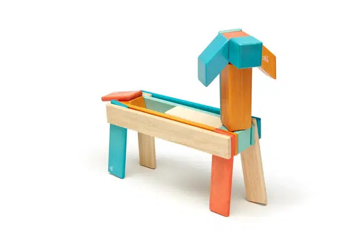 Tegu 24-Piece Magnetic Wooden Block Set